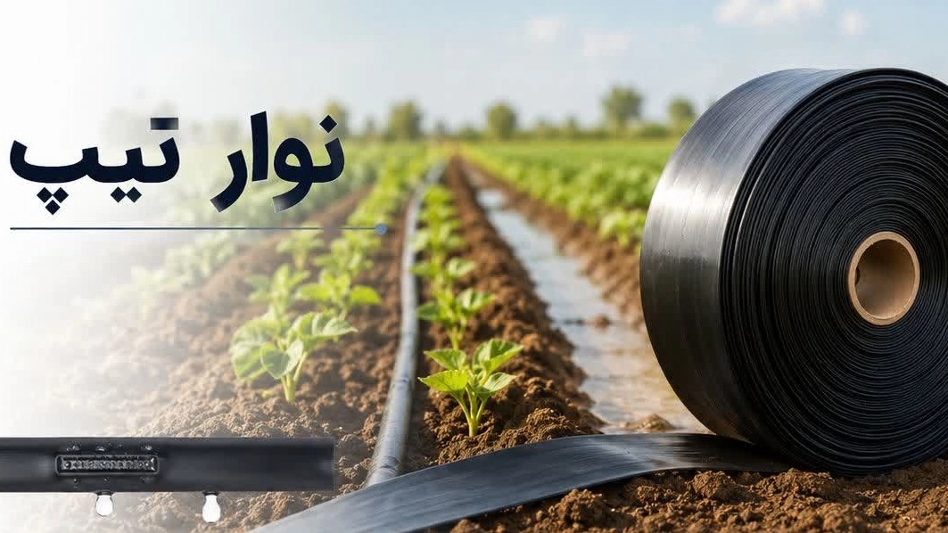 خرید مستقیم نوار تیپ آبیاری قطره ای در اصفهان با قیمت عمده از لیزا پایپ خرید مستقیم نوار تیپ آبیاری قطره ای در اصفهان با قیمت عمده از لیزا پایپ