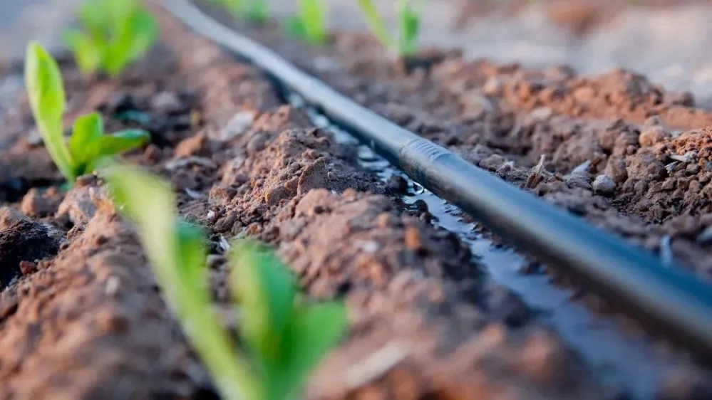 Sale of drip irrigation polyethylene pipe Sale of drip irrigation polyethylene pipe
